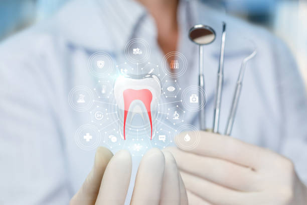 Professional Dental Services in Arkwright, SC